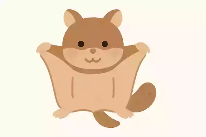 6331ムササビ