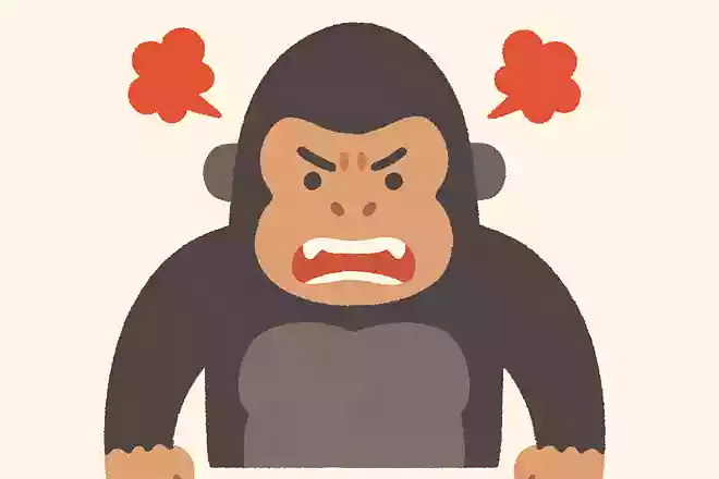 ゴリラの性格として正しいのはどれでしょう?