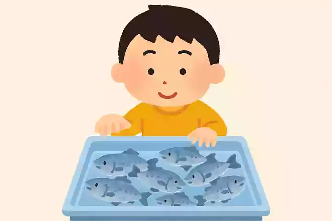 さかながたくさんかんにはいっています。でも、さかなはいきているようです。なぜでしょうか?