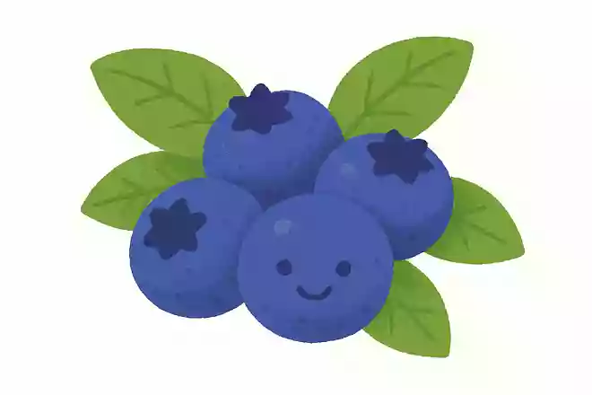 藍苺(ブルーベリー )