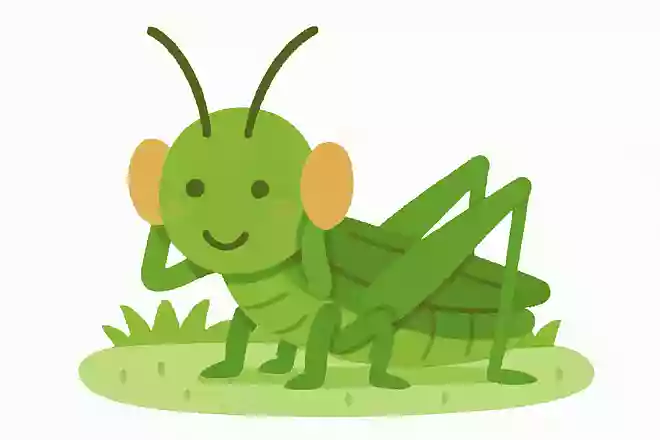 キリギリスの耳は前脚にある