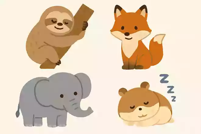 この中で一番睡眠時間が長い動物は?