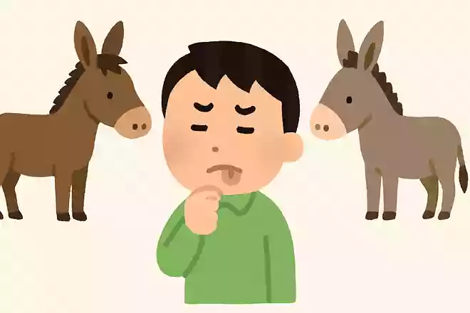 ラバかロバかロバかラバか分からないので ラバとロバを比べたらロバかラバか分からなかった