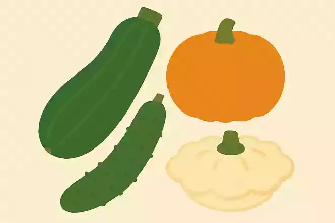 ズッキーニは何の野菜の仲間でしょう?