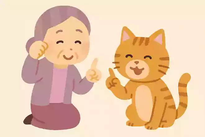 猫