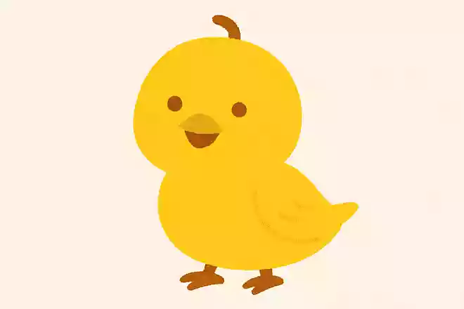 木通