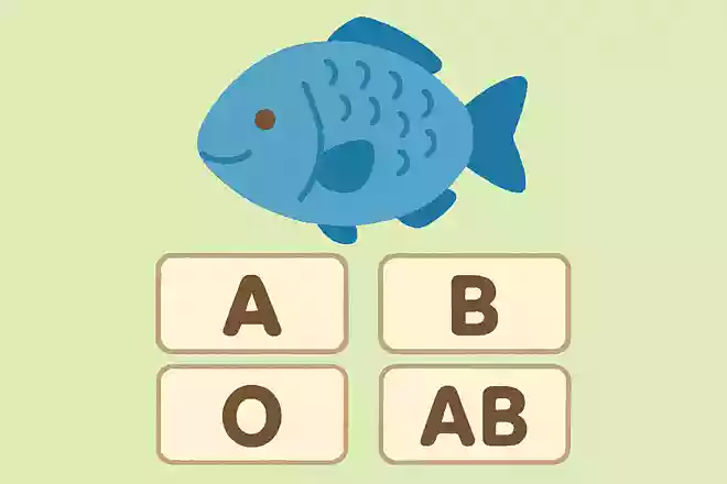 魚はみんな同じ血液型ですが、何型でしょうか?
