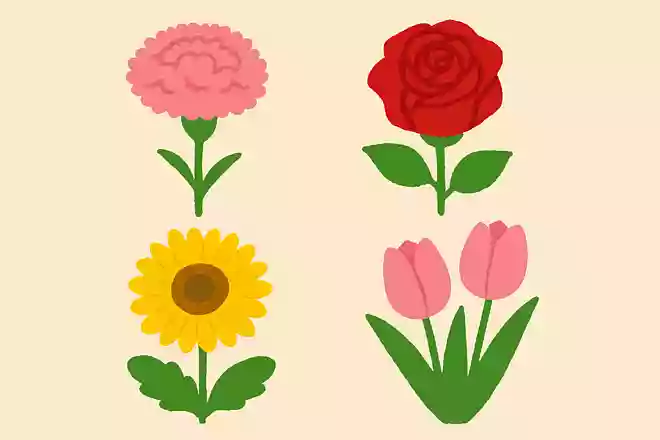 母の日によく贈られる花は次のうちどれでしょうか