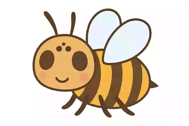 ハチには目がいくつあるでしょう?