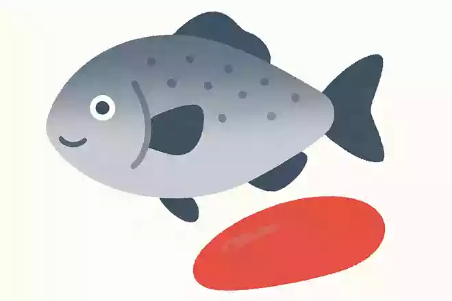 福岡県の名物「明太子」はある魚の卵です。何の魚でしょうか?