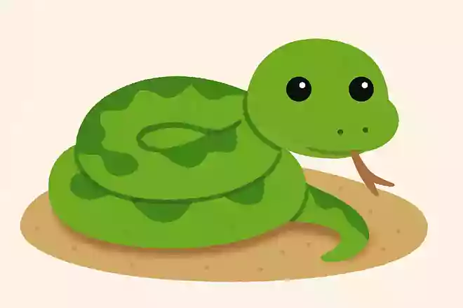 まぶたがないため、ヘビは目を開けたままで寝る