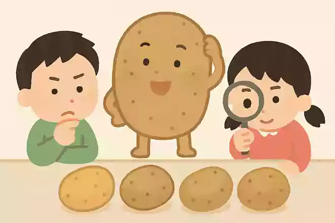 美味しいじゃがいもの見分け方はどれでしょう。