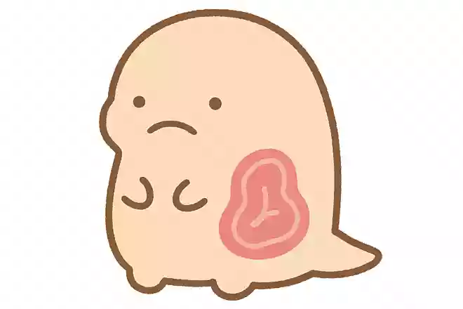 『すみっコぐらし』に登場するおにく1%、しぼう99%のキャラクターは?