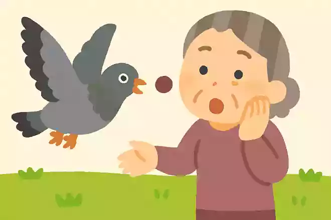 〇〇が豆鉄砲を食ったよう