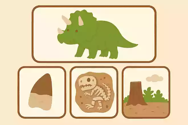 恐竜がどんなものを食べていたかが分かる化石の部分は?