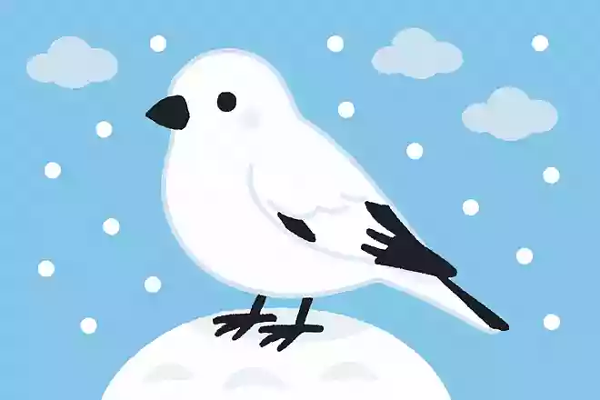 北海道にのみ生息している「雪の妖精」と呼ばれる鳥はなんでしょう?