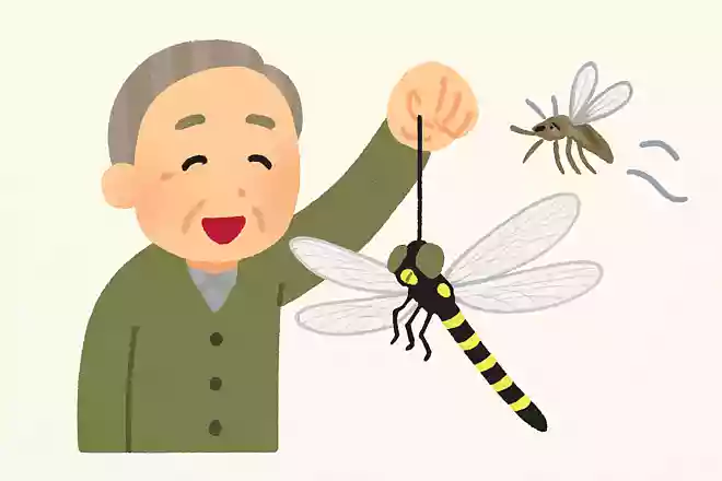 オニヤンマの模型には虫よけの効果がある