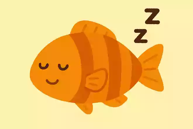 寝ているときも泳ぐ魚はなに?