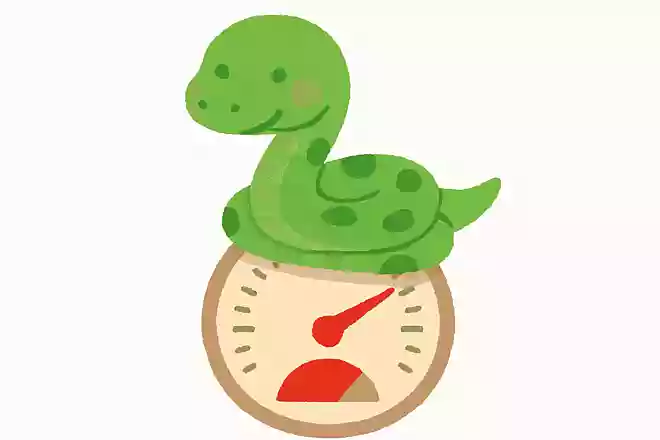 ヘビは自分で体温調節ができない
