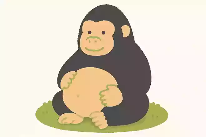 ゴリラが妊娠してから出産するまでの期間はどれくらいでしょう?