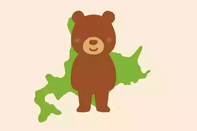 日本では北海道にしか生息していない熊はどれでしょう?