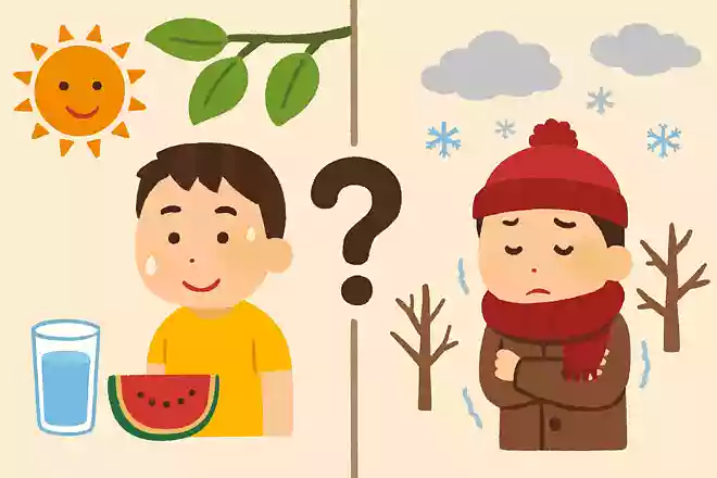 夏と冬ではどちらが基礎代謝が上がるでしょうか