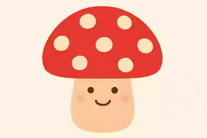 木耳