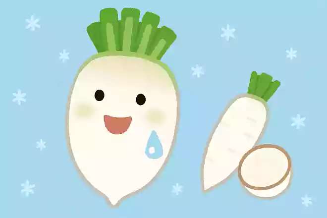 冬に旬を迎える大根は糖分が増し、みずみずしい。