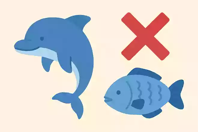 イルカは魚である。◯か☓か?