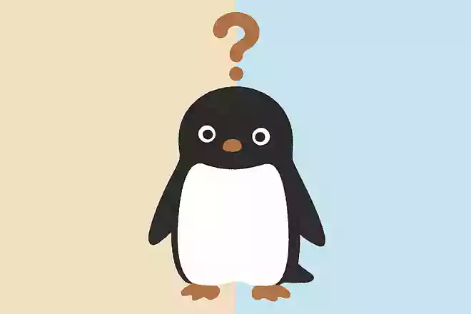 ペンギンの体の色が白黒の理由は?