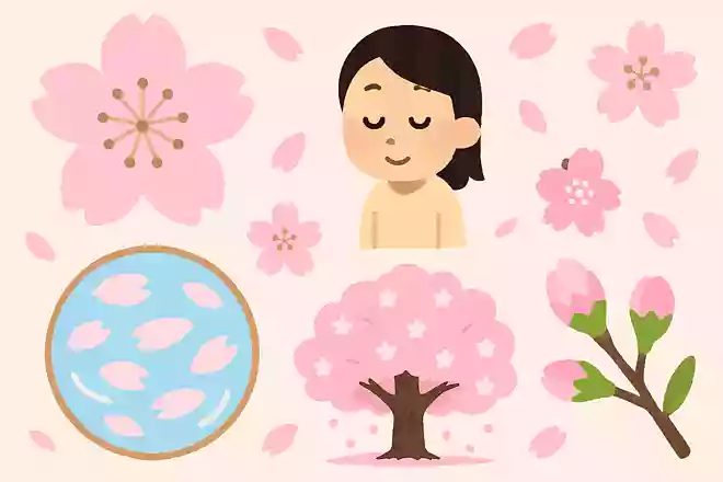 桜の花言葉は「精神美」や「純潔」