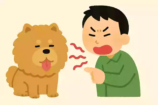 おっとっととっとってって言っとったのに、なんでとっとてくれんかったん?とっとってって言っとったやん