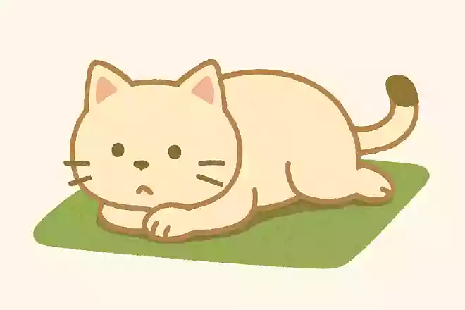 寝転ぶネコ