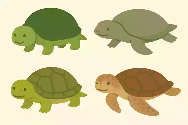 実在するカメはどれ?