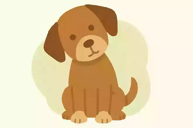 犬がよく首をかしげている理由は？