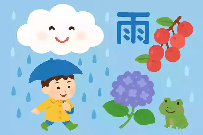 梅雨という漢字にはなぜ「梅」が使われているでしょう?