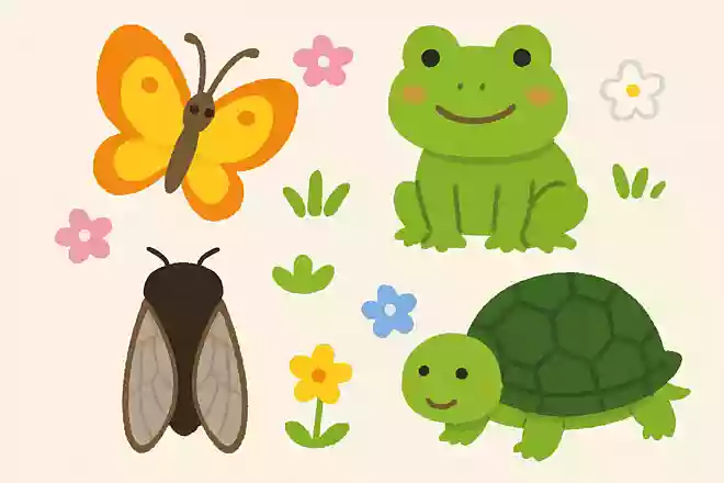 5月に元気に戻ってくる生き物は?