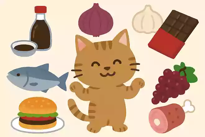 猫が食べてはいけないものは次のうちどれでしょうか?