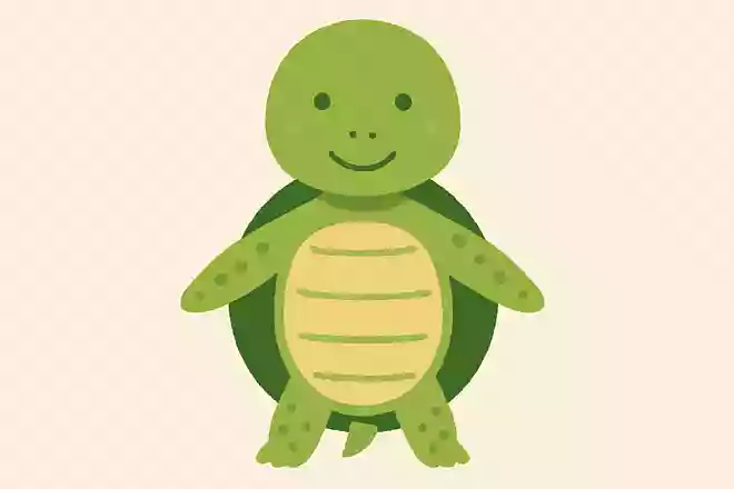カメは一番長くて何年くらい生きるでしょうか?