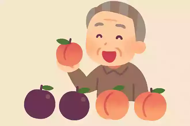 スモモも桃も桃のうち 桃もスモモも桃のうち