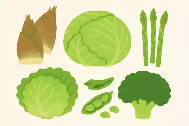 春に美味しくなる野菜はなにかな?