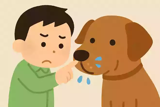 犬の鼻が湿っている理由は?