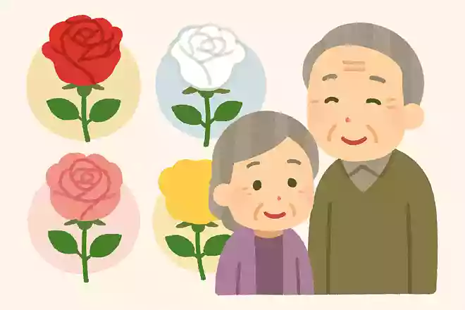 バラの花言葉は色と渡す本数で変わる