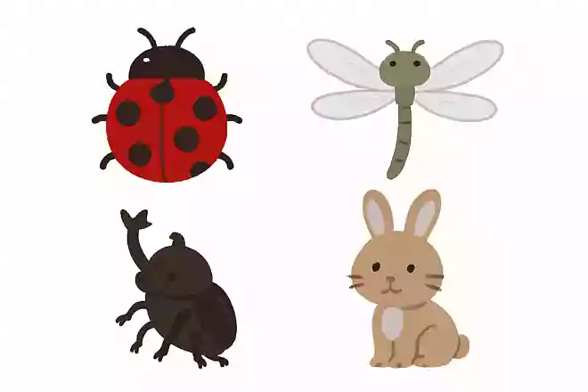 このなかで昆虫でないのはどれ?