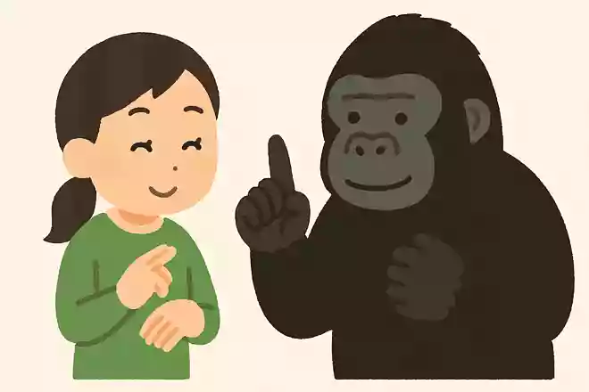 アメリカのココという名前のゴリラはどんな方法で人間と会話をしたでしょう?