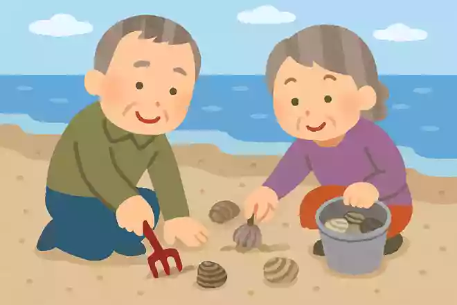 5月に人気の潮干狩りは何を取るものでしょうか?