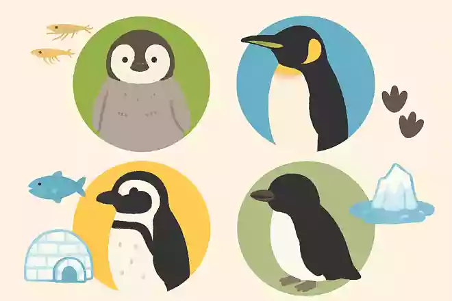 長崎ペンギン水族館では、何種類のペンギンを飼育しているでしょうか?