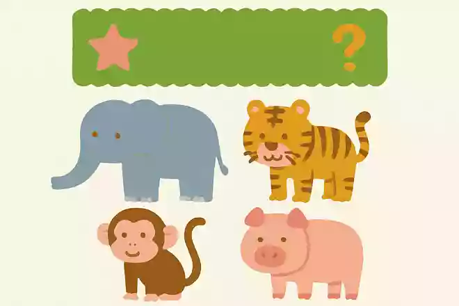 鼻が長い動物は次のうちどれでしょうか?