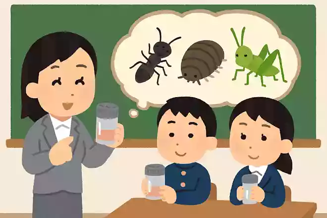 兵庫県立大学附属中学校の生徒が、芳香剤を作るために利用した昆虫は?