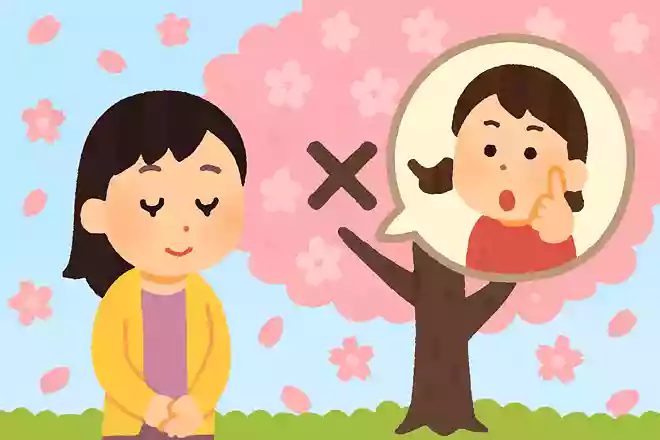 桜の花粉に興奮物質が含まれているというウワサはデマ